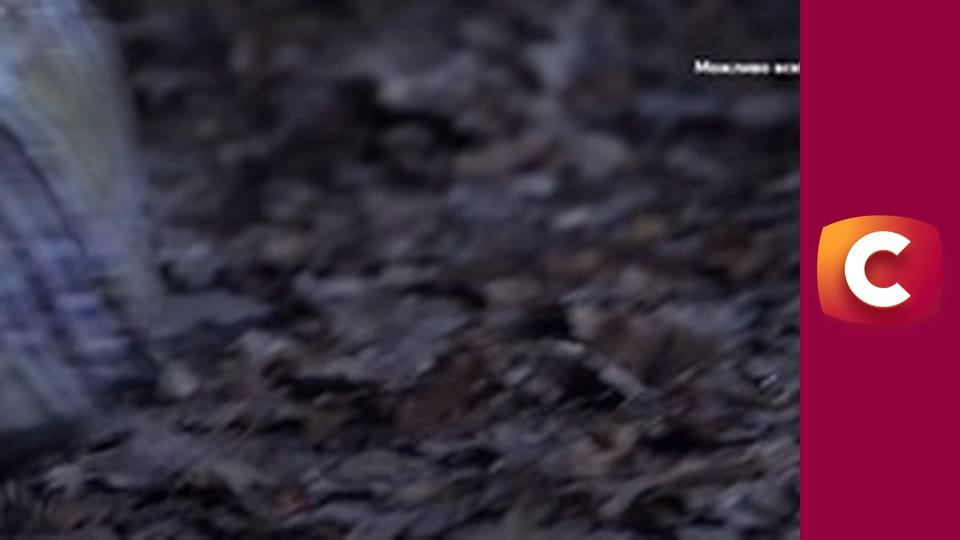 "Історія одного злочину", 8 сезон, 41 еп. "Турбота до нестями".