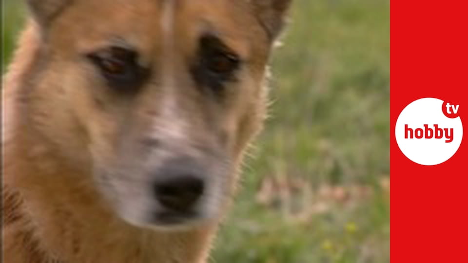 Vitální zahrada E2