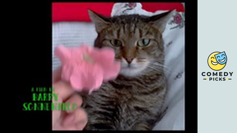 Deväť životov pána Fúzika