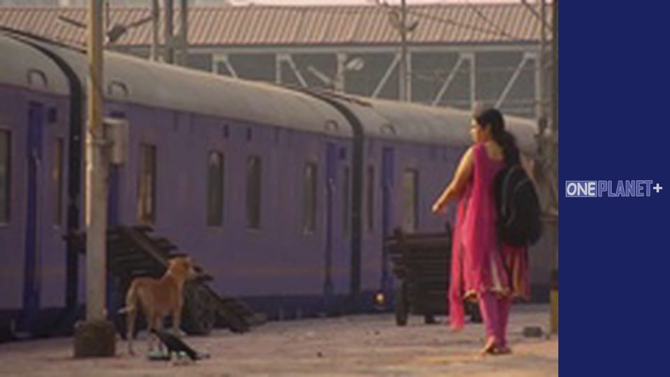 Railway Stories - series 7