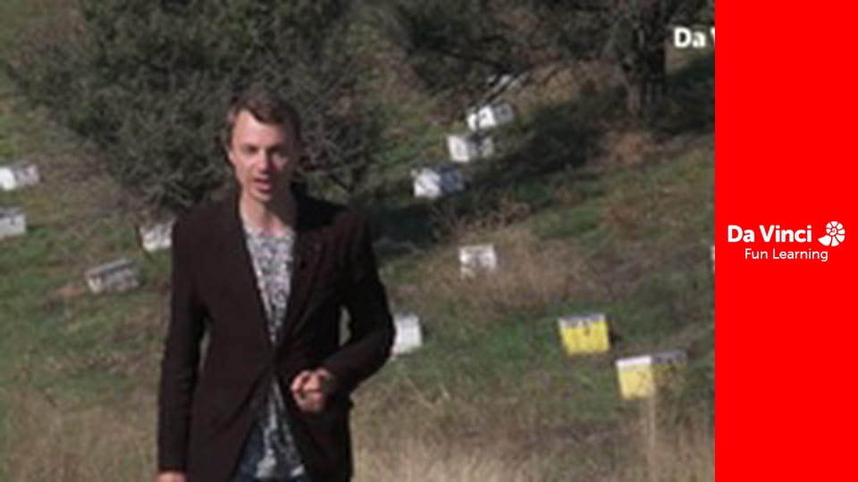 Futuris - Observare globală