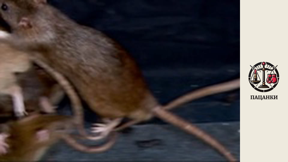 Season 1, Episode 10