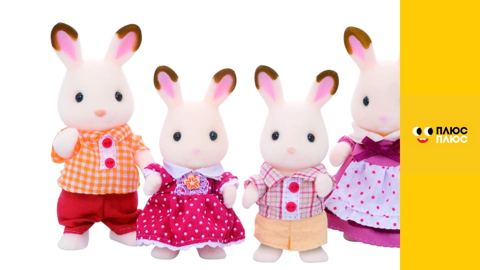 Історія жителів Сильванії