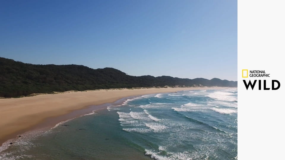 Смертоносная Африка S1E1 - Пустыни