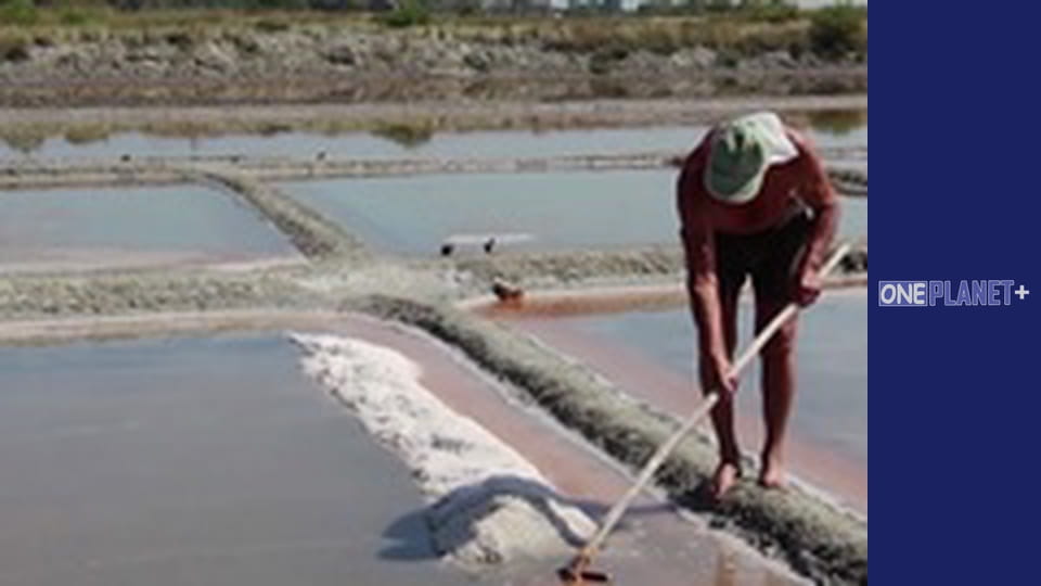 Everyday elements, Season 1, Episode 3