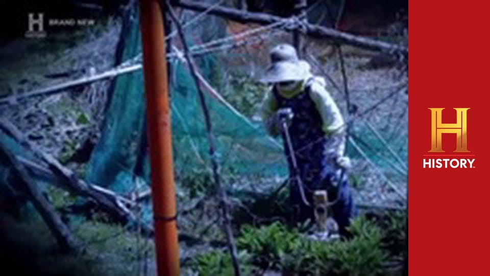 Премьера. Невероятное с Дэном Эйкройдом, 3 сезон, 8 эп. Странные хобби.