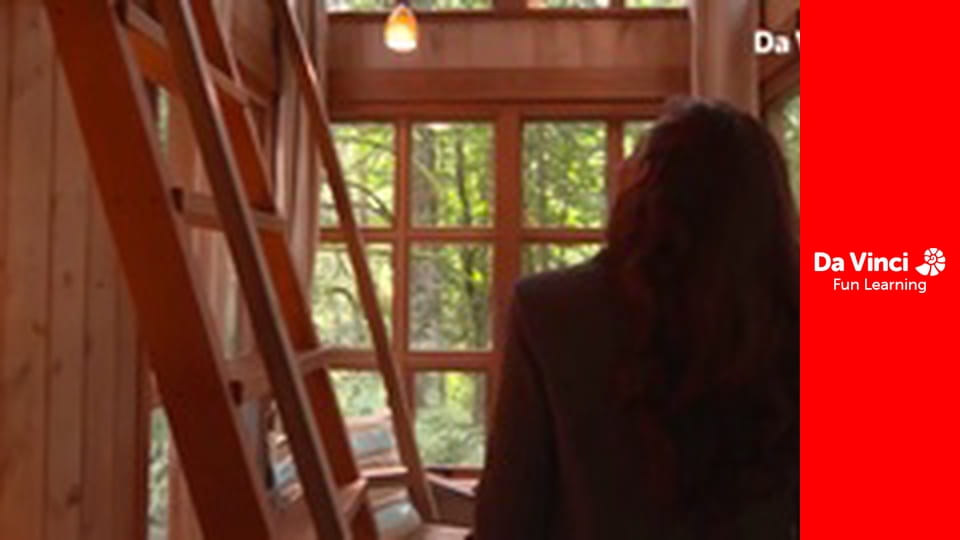 Did I Mention Invention? - Luxury Treehouses