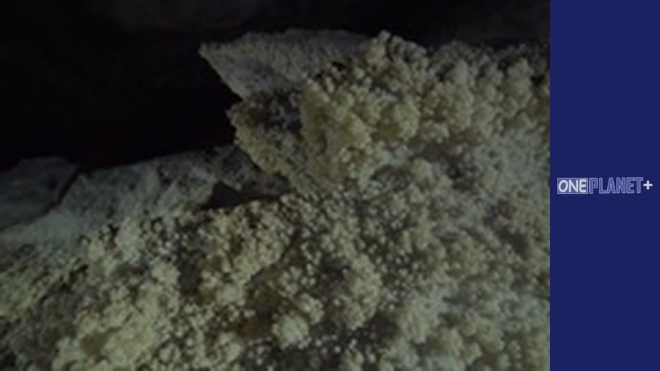 In search of knowledge. - episode 9