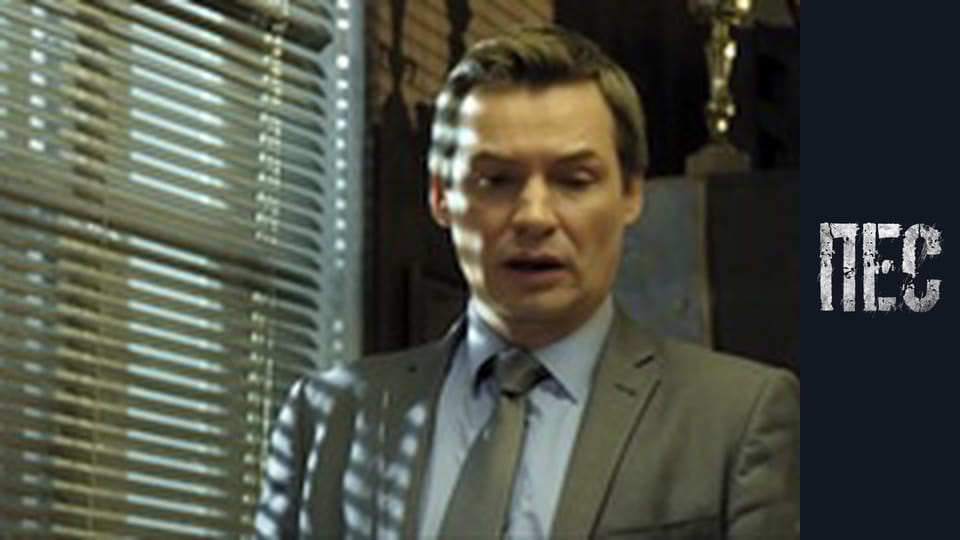 Пес, Сезон 3, Серія 15