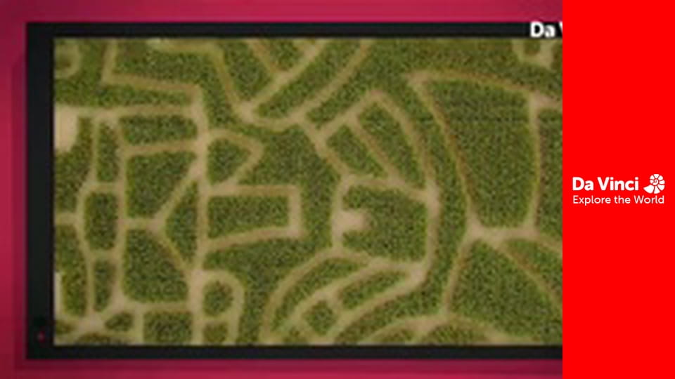 Do You Know? - Forklift and Dried Fruit