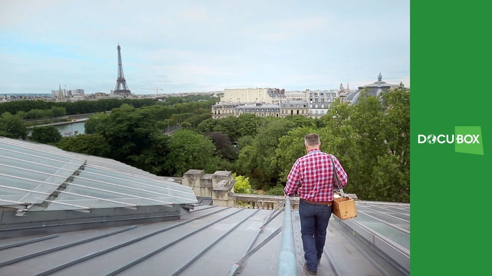 Na szczytach miast S1E5 - Tokyo