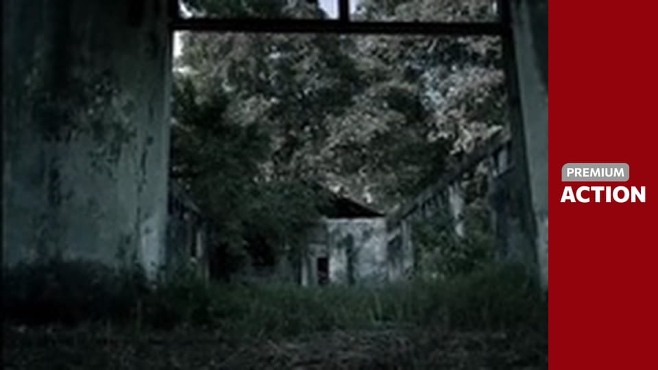 Battle of the Damned