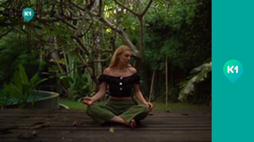 "Пригоди з Яною Метьолкіною".