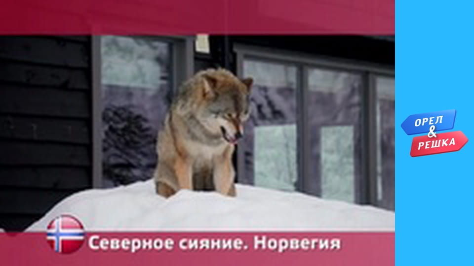 Wonders of the world 2 -  Northern Lights 2h/Norway