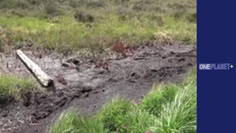 Everyday elements, Season 1, Episode 8