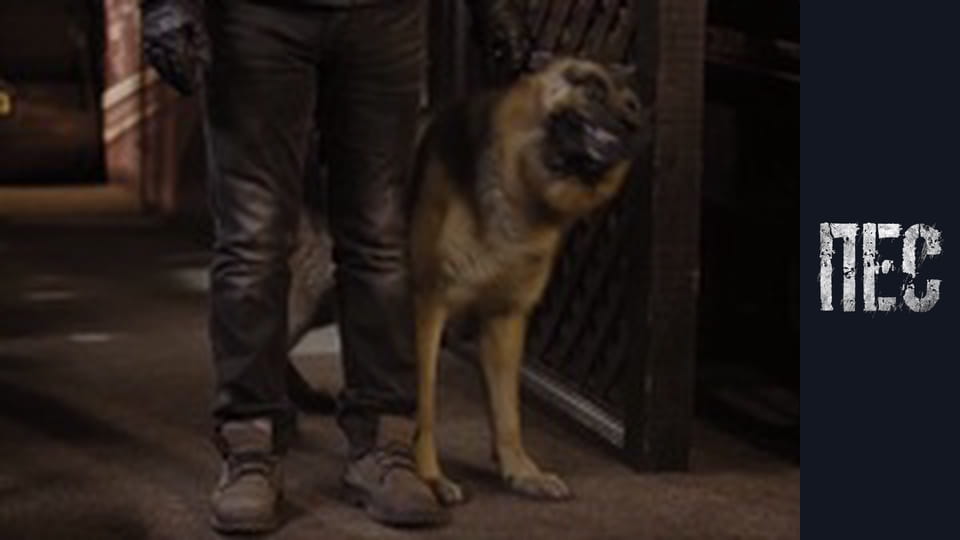 Пес, Сезон 2, Серія 20