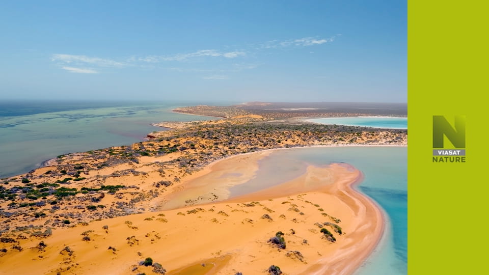 Глибоке занурення в Австралію S1E3 - Дикий Захід