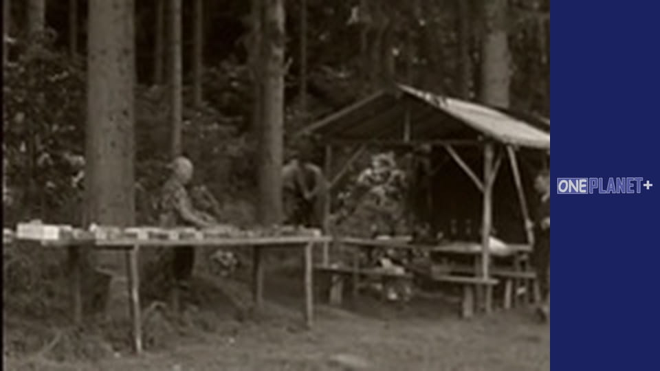 Путешествие в Прошлое, Выпуск 1