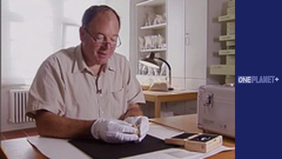 Подорож у Минуле, Випуск 1