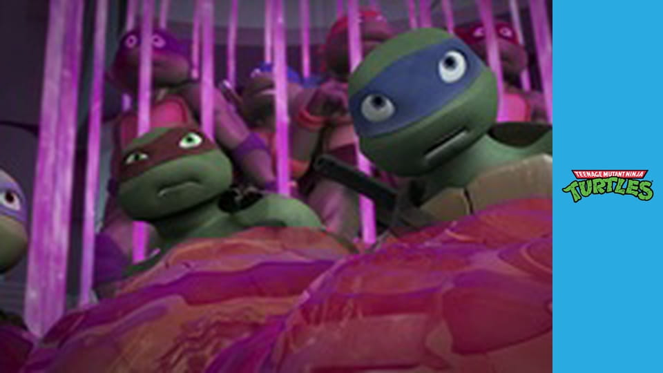 Želvy Ninja 5. série, 13. díl