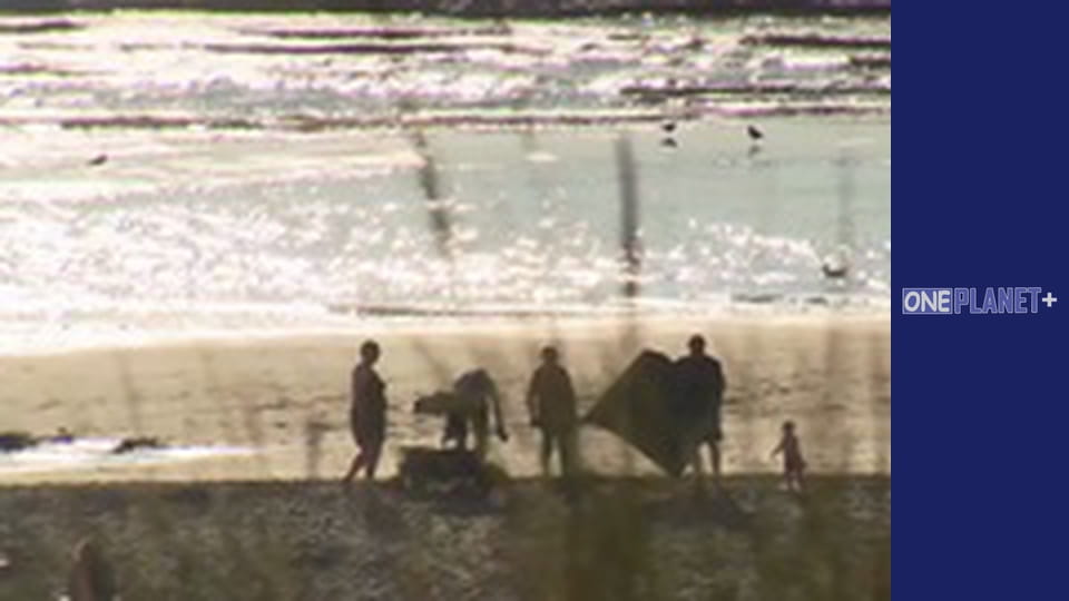 Art of Space. - episode 34