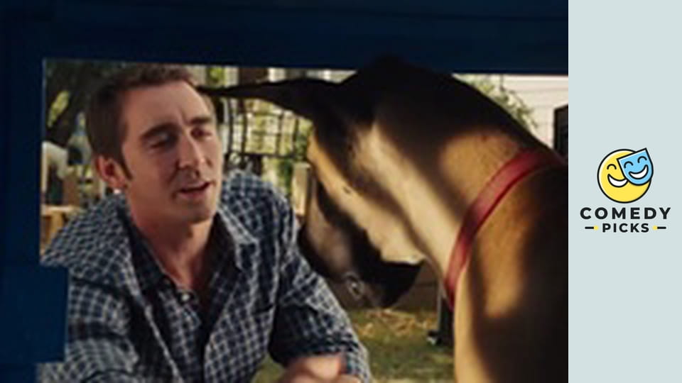 Pies w rozmiarze XXL