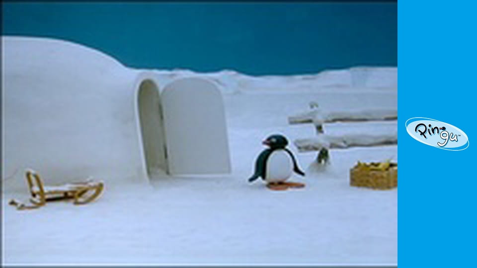 The Pingu Show Sezon 1 Odcinek 78