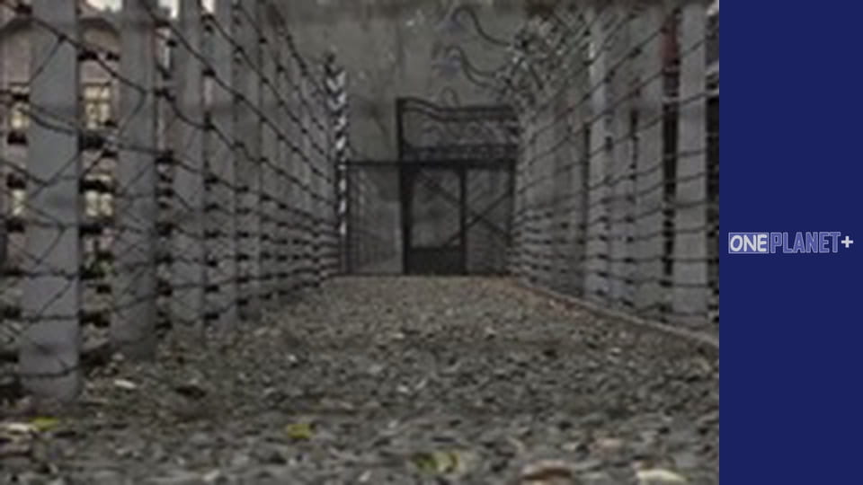 Secret. World War II. - episode 9