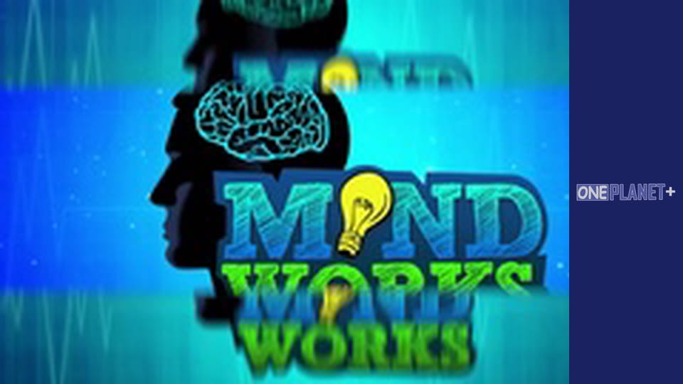 Mind Works, Season 1, Episode 6