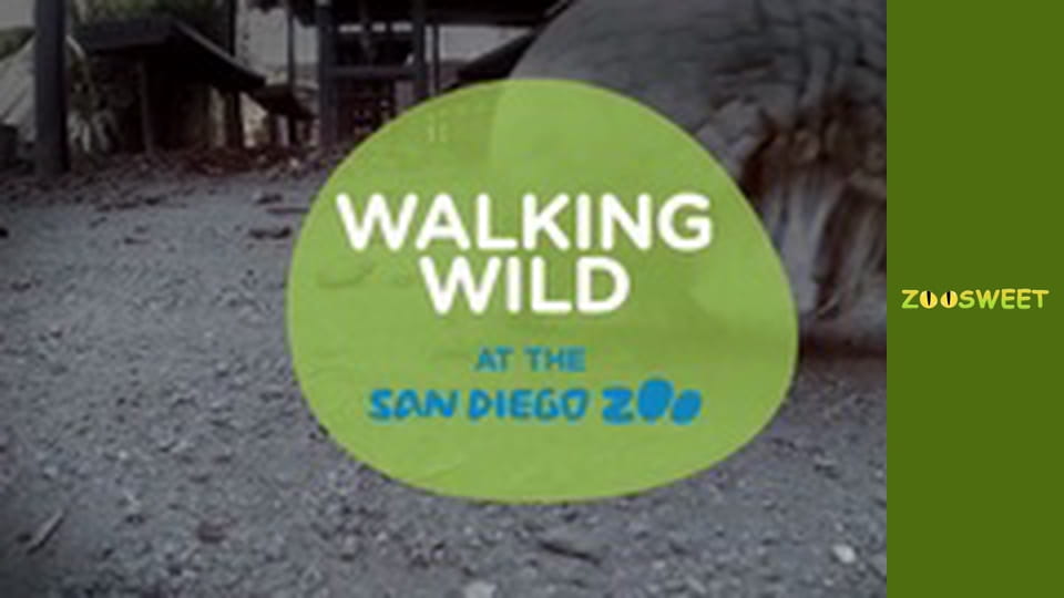 Walking Wild at the San Diego - episode 18