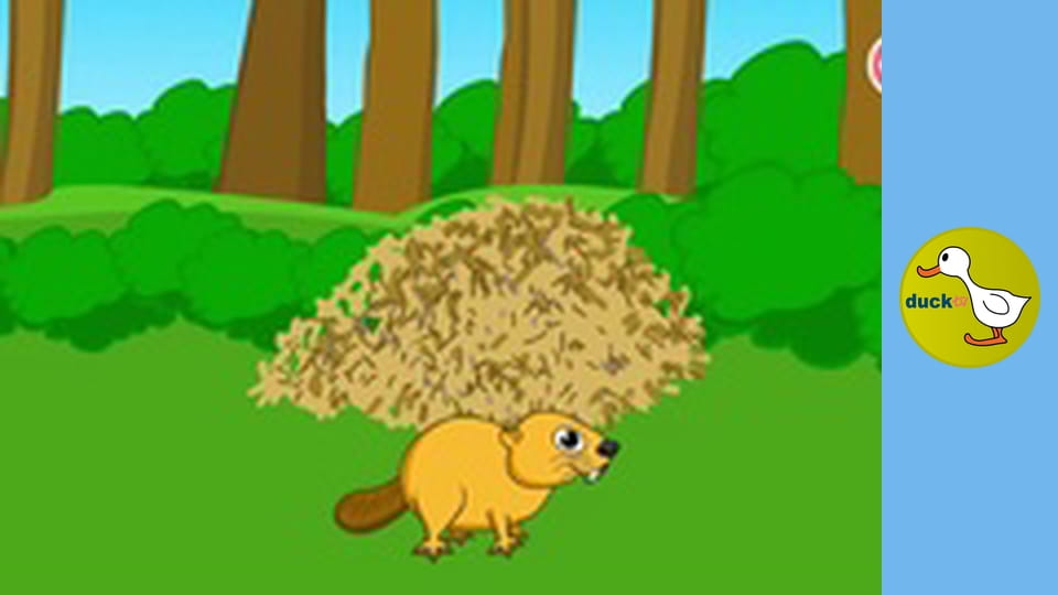 Podmořské dobrodružství