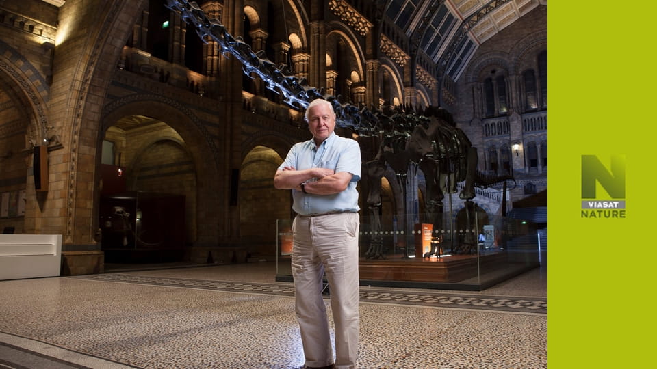 Глобальні пригоди Аттенборо S1E3 - Розквіт природи