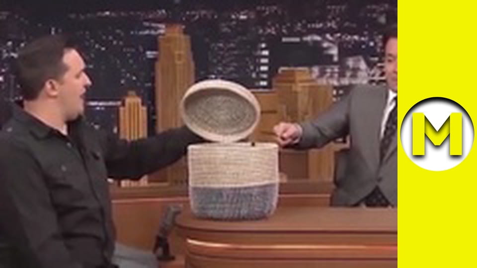 Max TV - season 1 - episode 25