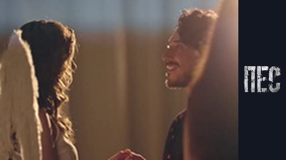 Dog, Season 6, Episode 15