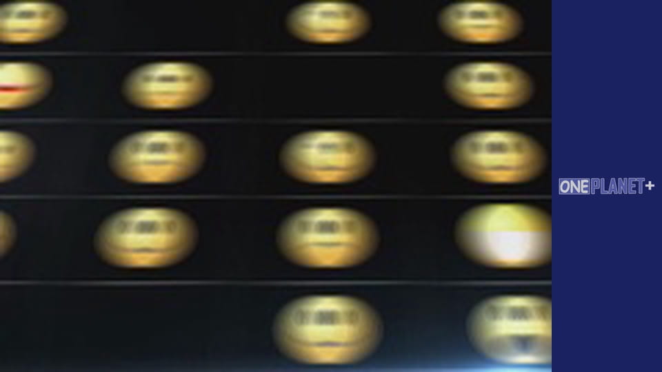 In search of knowledge. - episode 7