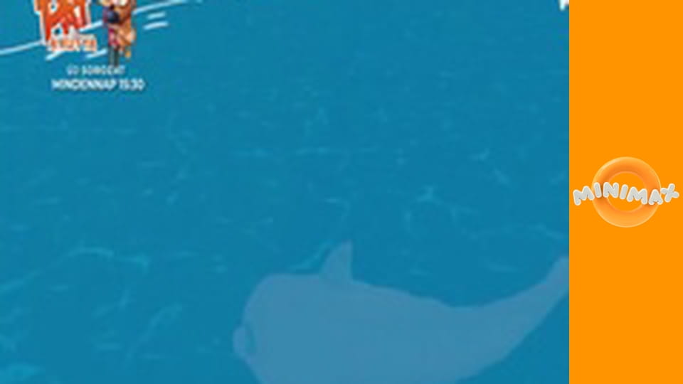 Zoom, a fehér delfin S3E47 - Vicces madarak