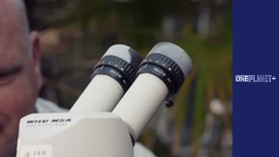 In search of knowledge. - episode 11