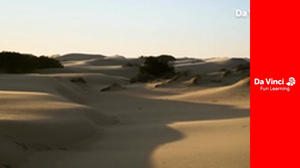 Siyaya: najdzikszy przylądek - Zachodnie wybrzeże - w drogę na Ptasią Wyspę