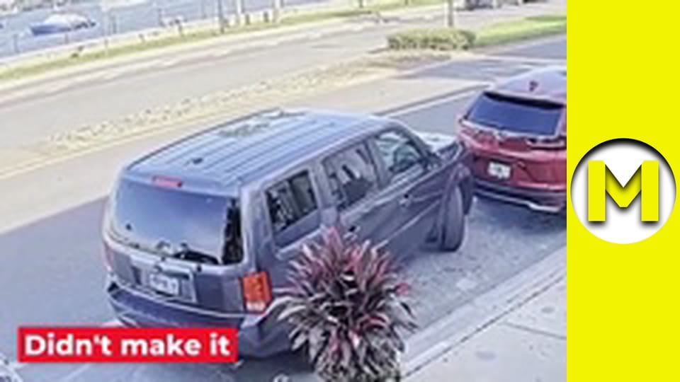 Max TV - season 1 - episode 20