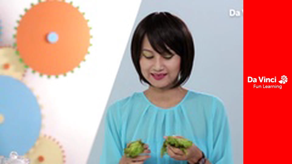 One Stop Science Shop - Green Science and Recycling