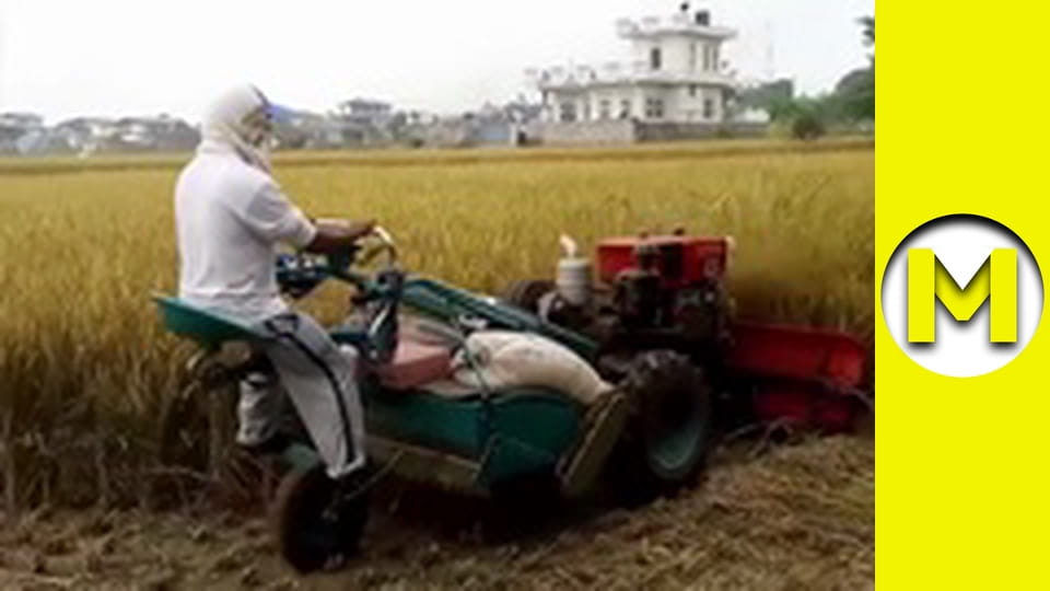 Max TV - season 2 - episode 19