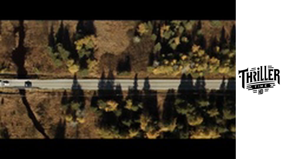 HUMMINGBIRD PROJECT, THE