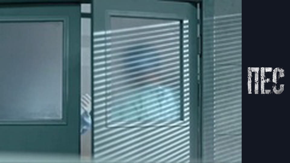 Dog, Season 5, Episode 12