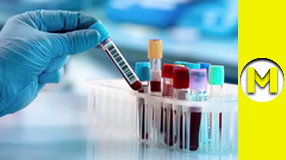 Max TV - season 1 - episode 58