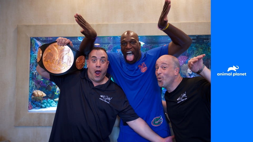 Akvária na míru S7E7 - Akvárium pro Panama City Beach