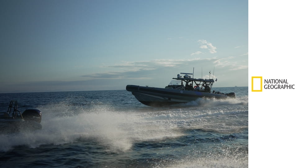 Złapać przemytnika S5E8 - Przesyłka z daleka