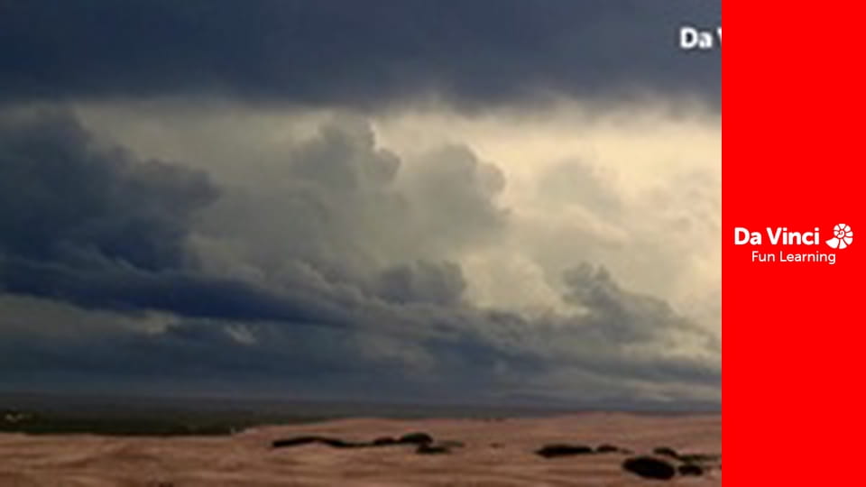 Siyaya - Come Wild With Us - Search for the Big Seven Part 3: Whale of a Time