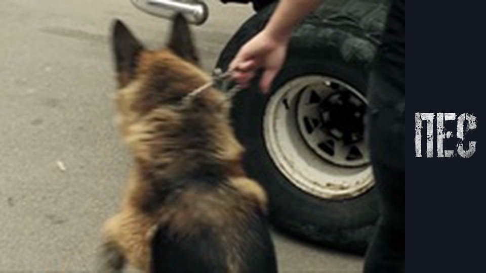 Dog, Season 4, Episode 12