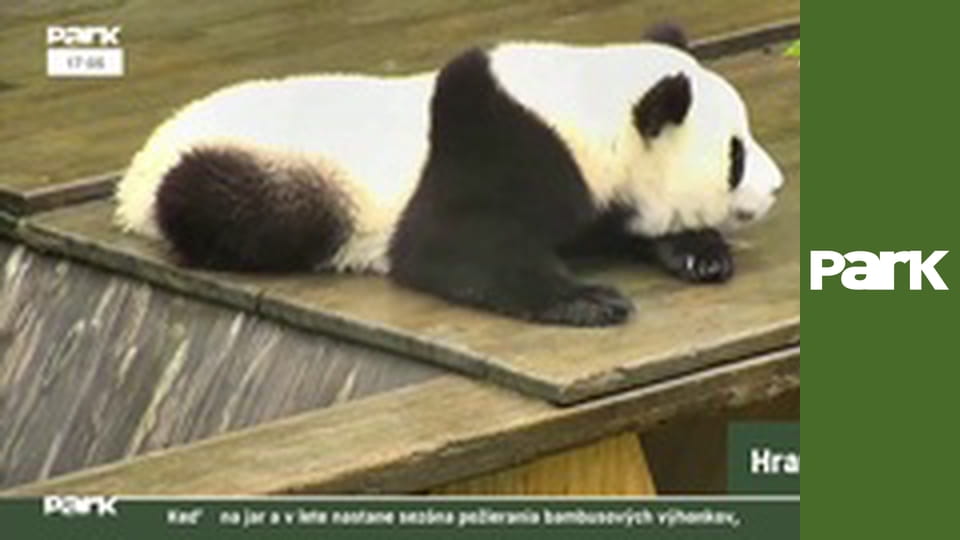 Všedný a nevšedný život zvierat