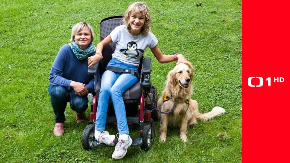 Život je pes E2 - Messie